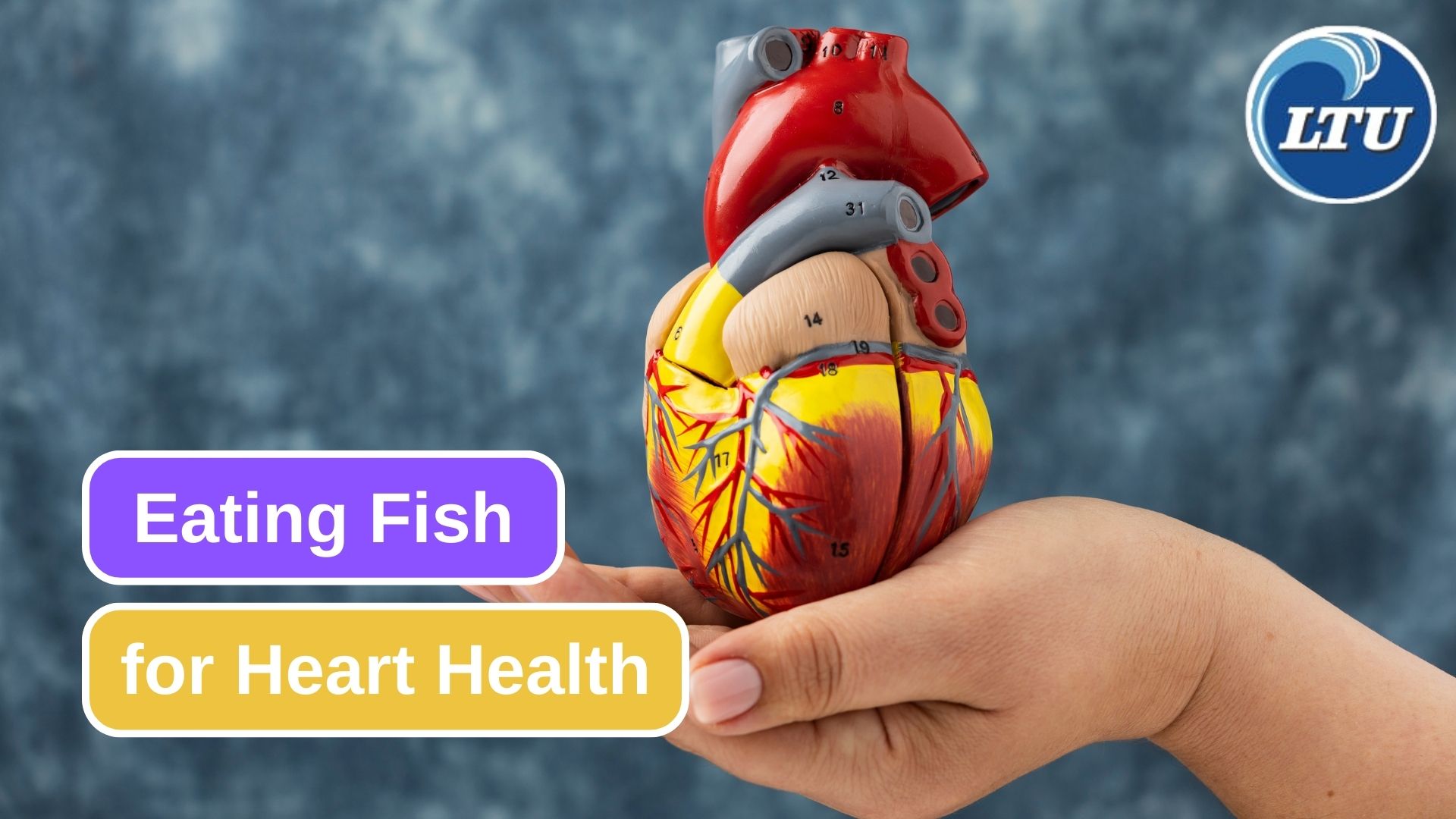9 Benefits You Can Get from Eating Fish for Your Heart